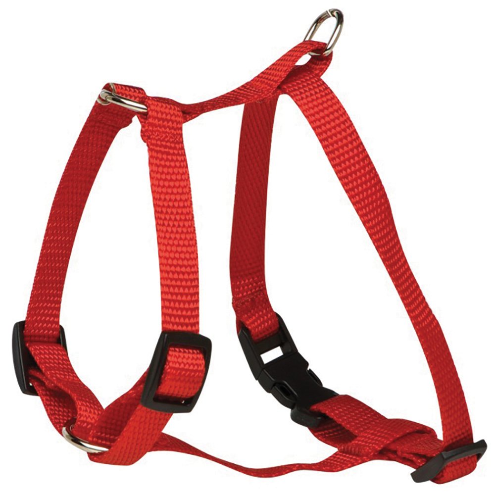 Putting on a Dog Harness