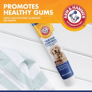 Arm & Hammer TARTAR CONTROL ENZYMATIC TOOTHPASTE FOR DOGS Beef 70ml