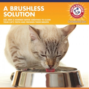 Arm & Hammer COMPLETE CARE CAT DENTAL RINSE 226ml