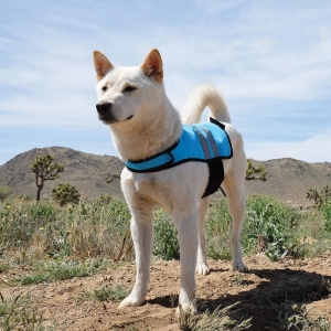 ZippyPaws COOLING VEST Small Blue (Girth Size: 41-61cm)