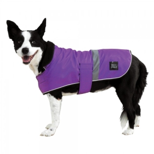 ZEEZ DAPPER DOG COAT Size 8 (19cm) Royal Purple