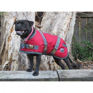 ZEEZ SUPREME DOG COAT Size 10 (25cm) Ruby Red/ Grey