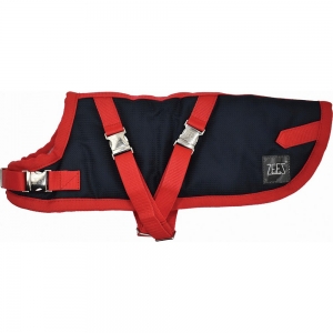 ZEEZ® SUPREME DACHSHUND DOG COAT Size 17 (43.5cm) Navy Stone/Red - Click for more info