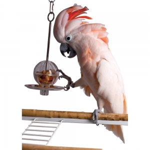 Featherland Paradise FORAGING HANGING BUFFET BALL WITH SKEWER 33cm
